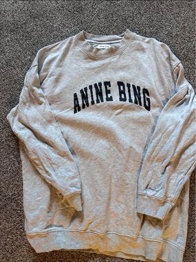 Anine bing hoodie